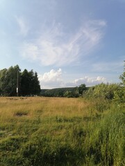 green field and blue sky