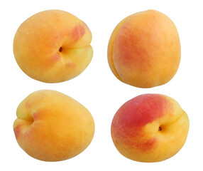 apricots isolated on a white background with clipping path.
