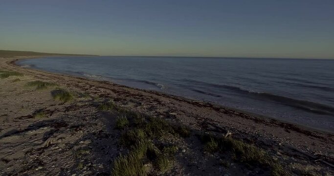 Dark Sand Beach with lots of Sea Weed and Pieces of Wood at Dusk in Anticosti Island, Canada