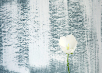 White bell flower on a light background