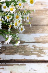 Obraz premium daisy flowers on wooden background
