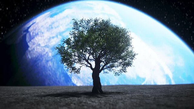tree on the moon in outer space. 3d rendering.