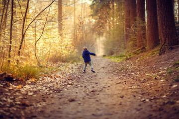 walking in the woods