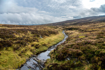 Fototapeta na wymiar Landschaftsbild in Schottland mit einem Bach