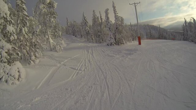A skier slowly descends from a mountain skiing circling snow-covered trees in Lapland.