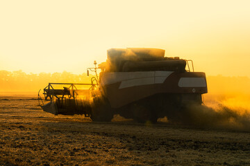 Combine harvester in a cloud of dust during harvesting