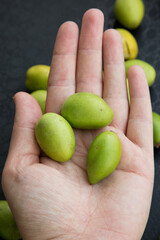 Argania spinosa- Argana