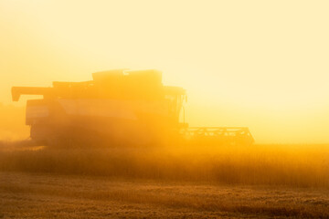 Combine harvester in a cloud of dust during harvesting