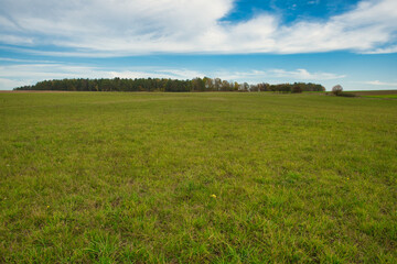 Obraz premium Wiesen und Wald im Herbst