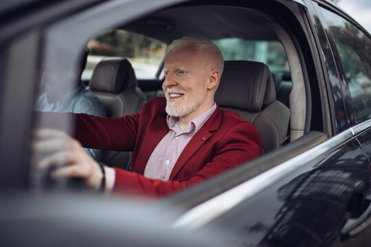 Mature businessman driving car. Senior man driving car.
