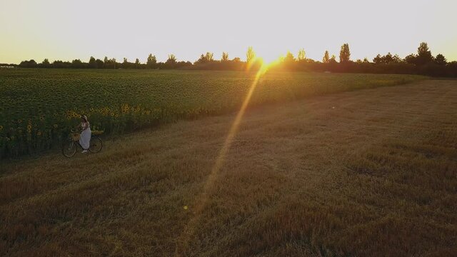 Top view of a woman in a white dress leading a bicycle on a field with sunflowers. Drone futage 4K.