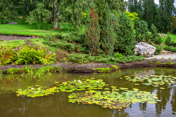 Fototapeta premium Panoramic view of Botanical Garden - Botanisk hage - floral exposition within Natural History Museum, Naturhistorisk museet in Oslo, Norway