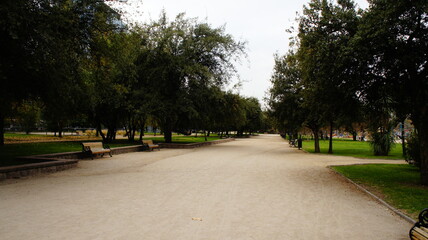 SONY DSC