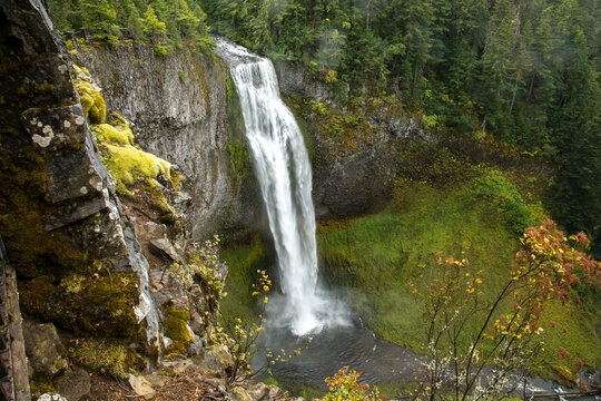 Salt Creek Falls, near the summit of the Willamette pass on state Highway 58 east of Oakridge, Oregon.