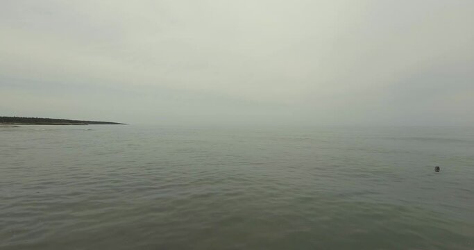 Dark Sand Beach with lots of Sea Weed and Pieces of Wood at Dusk in Anticosti Island, Canada