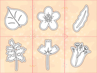 Stickers are colourless with the image of summer flowers. For shading and cutting. Isolated.