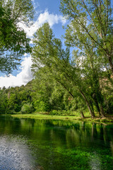 Fototapeta na wymiar Parco del Grassano, San Salvatore Telesino, Benevento, ItalyThis park is surrounded by big trees and a natural water source rich of sulfur which is good for the skin. This place is idea for kayak 