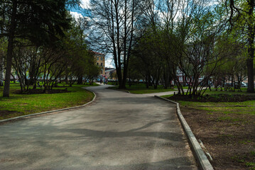 Obraz premium The park area. Asphalt path with fork in the city park. Lawns with green grass and trees, clear sunny day