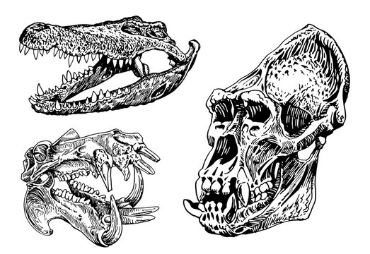 Explore the Best Gorillatattoo Art  DeviantArt