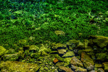 Fototapeta premium Parco del Grassano, San Salvatore Telesino, Benevento, ItalyThis park is surrounded by big trees and a natural water source rich of sulfur which is good for the skin. This place is idea for kayak 