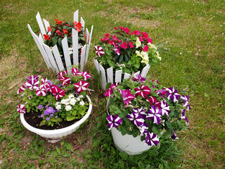 Small flower beds with the different colors