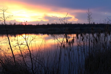 Fototapeta na wymiar Sunset over a pond in a warm, spring evening. Unique image of the environment.