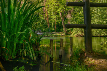 Parco del Grassano, San Salvatore Telesino, Benevento, Italy 

This park is surrounded by big trees and a natural water source rich of sulfur which is good for the skin.  This place is idea for kayak 