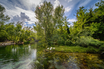 Parco del Grassano, San Salvatore Telesino, Benevento, Italy 

This park is surrounded by big trees...