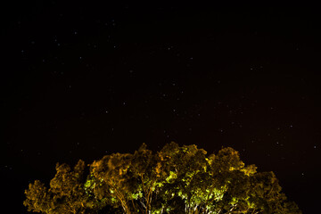 Night Sky Basilia Brasil