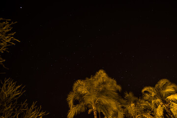 Night Sky Basilia Brasil