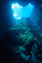 blue hole diving in palau