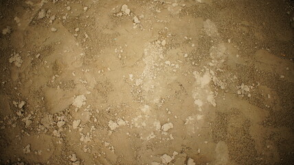 Obraz premium SONY DSC