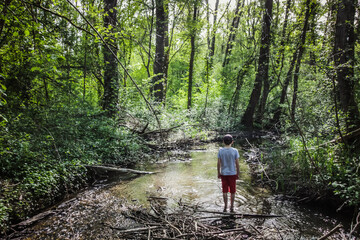 enfant au milieu d'un ruisseau dans une forêt au printemps