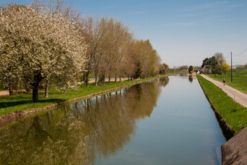 canal du rhône au Rhin près de 