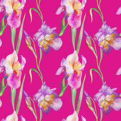 beautiful irises are blooming. Watercolor - 362049676