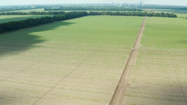 Spring  potato plantation with beds planted in straight rows on an agricultural field. Aerial view fly over vegetables fields