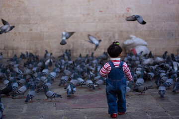 A pretty syrian girl is walking cautiously towards a flock of doves feeding on stone ground at a...