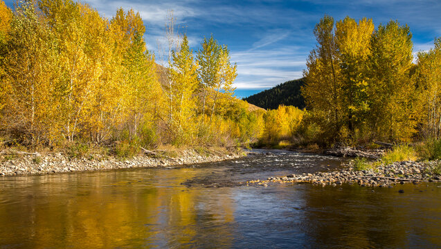 The Big Wood River near Ketchum, Idaho.  It is a 137miles long and is a tributary of the Malad River, which in turn is tributary to the Snake River and Columbia River.