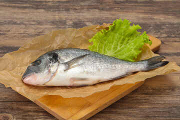 Raw Dorada fish  for cooking