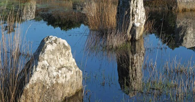The stone alignments,Carnac, Morbihan, Brittany, France