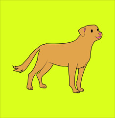 vector de perro 