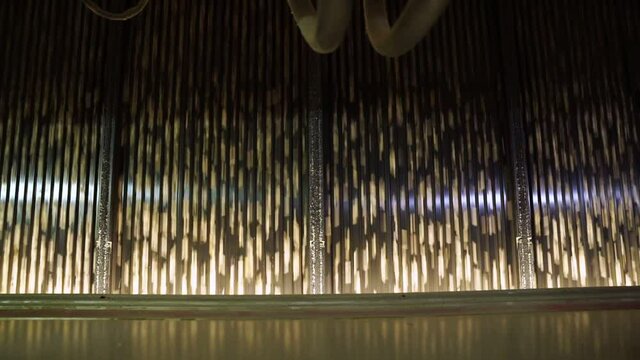 high-speed optical sorter sunflower seeds at factory. production of oil.