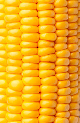 Bulk of corn grains