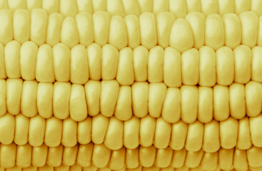 Bulk of corn grains