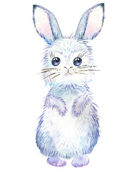 Watercolor Hare on a withe background.