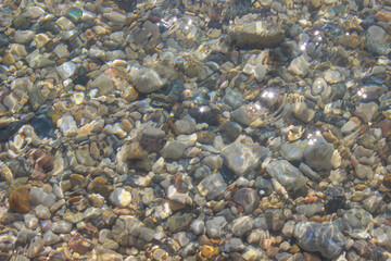 Close-up view of multicolored pebble of sea beach under clear water. Pattern of sea stone texture under water. Sea bottom with pebbles through clear water. Natural background.