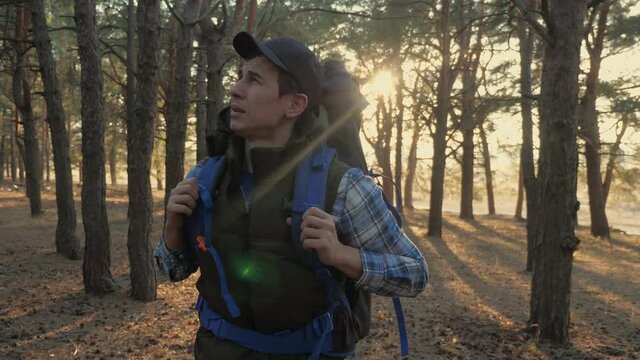 man tourist is walking through lifestyle the woods with a backpack on a hike. concept travel tourism adventure overcoming difficulties. male hiker walking go through the wild forest pine forest sunset