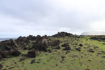 Lande volcanique de l'île de Pâques
