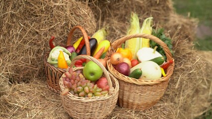 Three Wooden Baskets Full Of Yummy Fruit And Vegetables. Summer Diversity- Apples, Grapes, Cauliflower, Carrots, Eggplant, Pepper, Onion, Cucumbers, Corn, Squash- In Wooden Baskets. Close-up Shot.