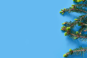 Christmas and New Year border on blue background. Frame of pine / fir branches. The basis for cards and invitations. Product background, top view, flat lay.